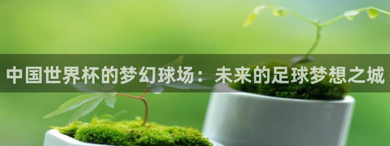 世界杯2026比赛时间表：中国世界杯的梦幻球场：未来的足球梦想之城