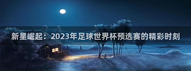 2026足球世界杯：新星崛起：2023年足球世界杯预选赛的精彩时刻