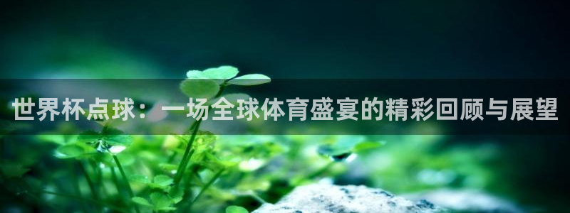 世界杯葡萄牙赛程：世界杯点球：一场全球体育盛宴的精彩回顾与展望