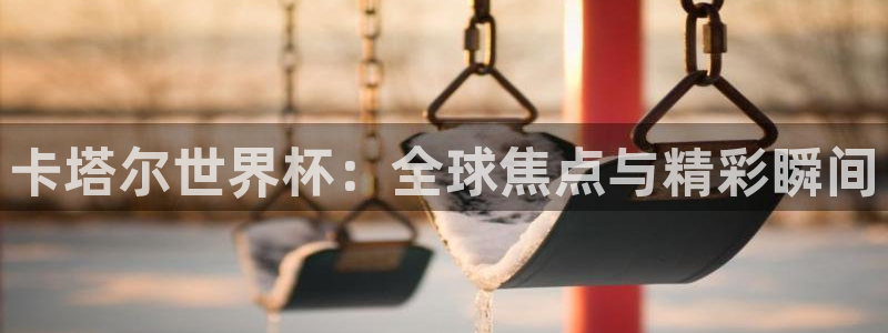 2026葡萄牙杯赛程表：卡塔尔世界杯：全球焦点与精彩瞬间