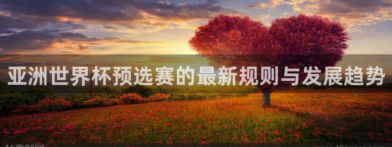 欧洲区世界杯预选赛：亚洲世界杯预选赛的最新规则与发展趋势