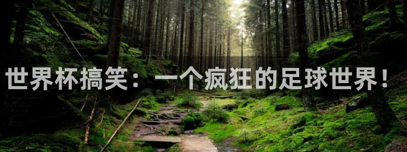 2026世界杯官网入口：世界杯搞笑：一个疯狂的足球世界！