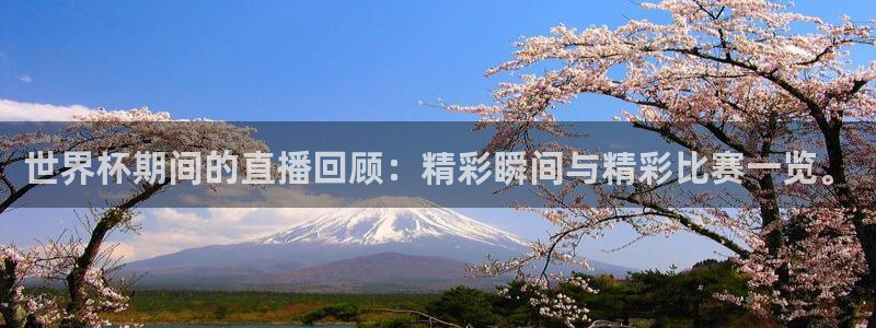 世界杯对阵表：世界杯期间的直播回顾：精彩瞬间与精彩比赛一览。