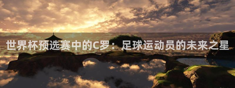 世界杯足球：世界杯预选赛中的C罗：足球运动员的未来之星