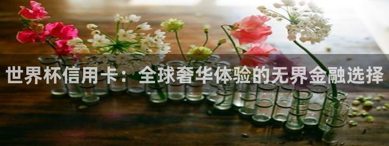 2026足球世界杯：世界杯信用卡：全球奢华体验的无界金融选择