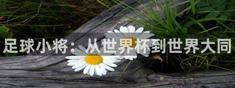 今天所有足球赛程表：足球小将：从世界杯到世界大同