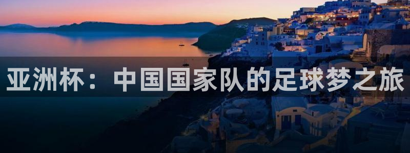 2026世界杯亚洲预选赛：亚洲杯：中国国家队的足球梦之旅