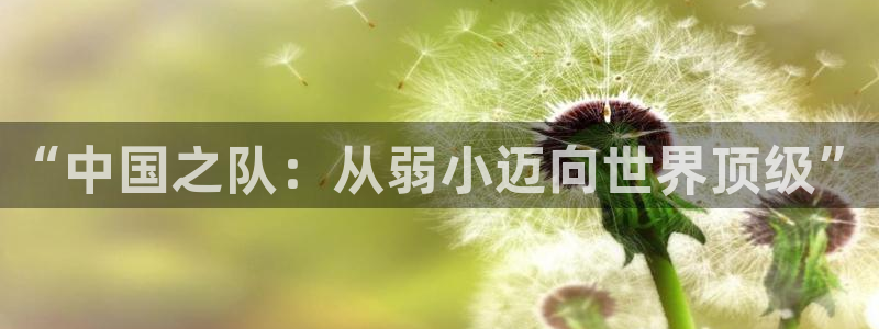 世界杯欧洲区赛程：“中国之队：从弱小迈向世界顶级”